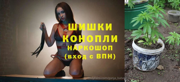 амф Арсеньев