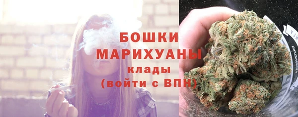 амф Арсеньев